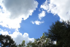 夏の空