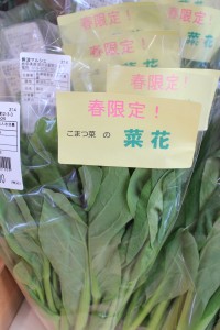 小松菜の菜花